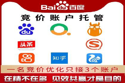 行业领先企业的网络推广与竞价经验